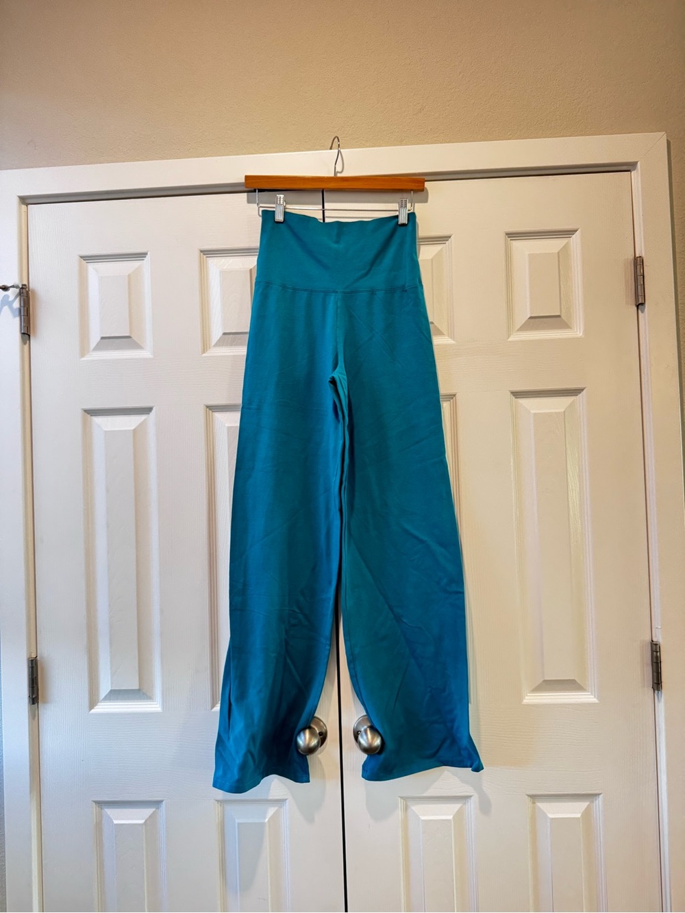 Brandy Melville Teal Pricilla Pants NWT
